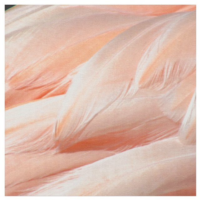 Tissu Plumes de Flamant rose - 5818 (Fermer)