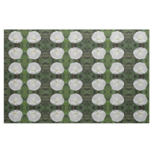 Tissu Plutôt Blanc Convolvulus Fleur Flore Motif