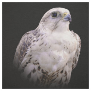 Tissu Portrait signé d'un faucon de Saker curieux