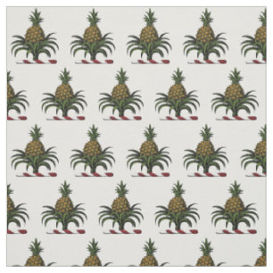 Tissu Préppy Heraldique Ananas couleur crête WT