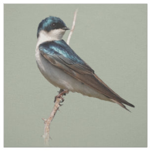 Tissu Profil éclairé d'un oiseau chanteur d'hirondelle d