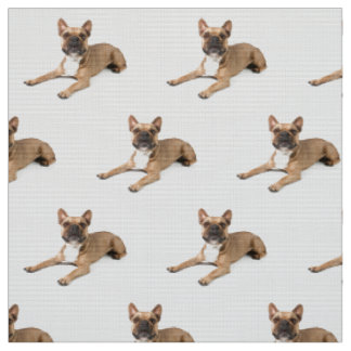 Tissu Puppie