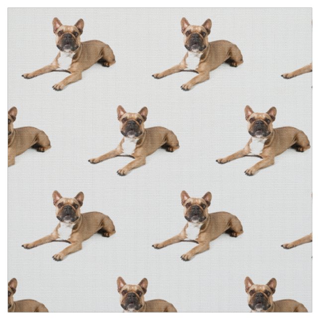 Tissu Puppie (Échantillon)