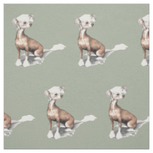 Tissu se reposant crêté chinois d'art de chien