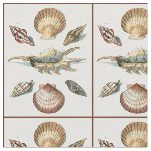 Tissu Shell de fantaisie échouent