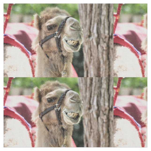 Tissu Sourire (Fermer)