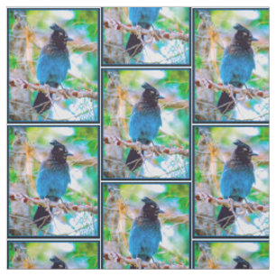 Tissu Steller's Jay - Photographie originale