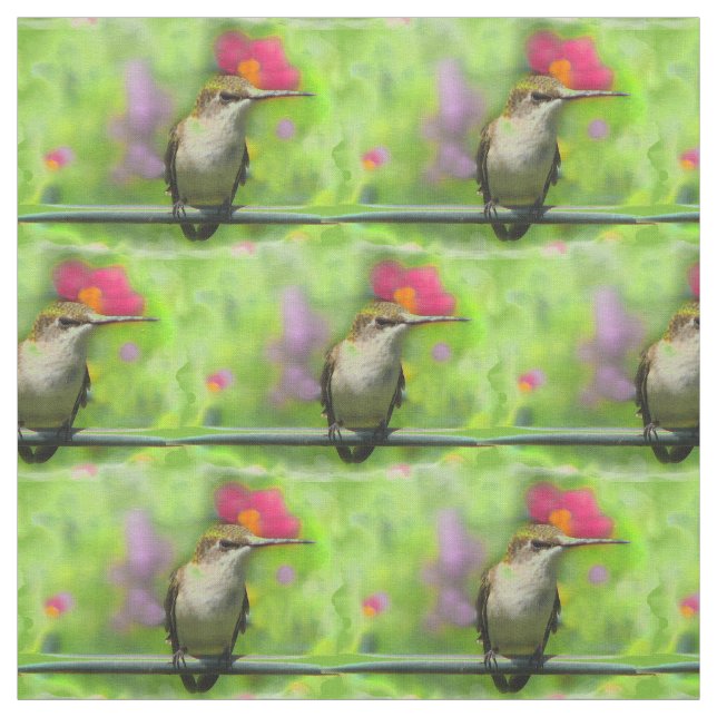 Tissu Structure de colibri (Échantillon)