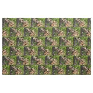 Tissu Tendre Mère Moose
