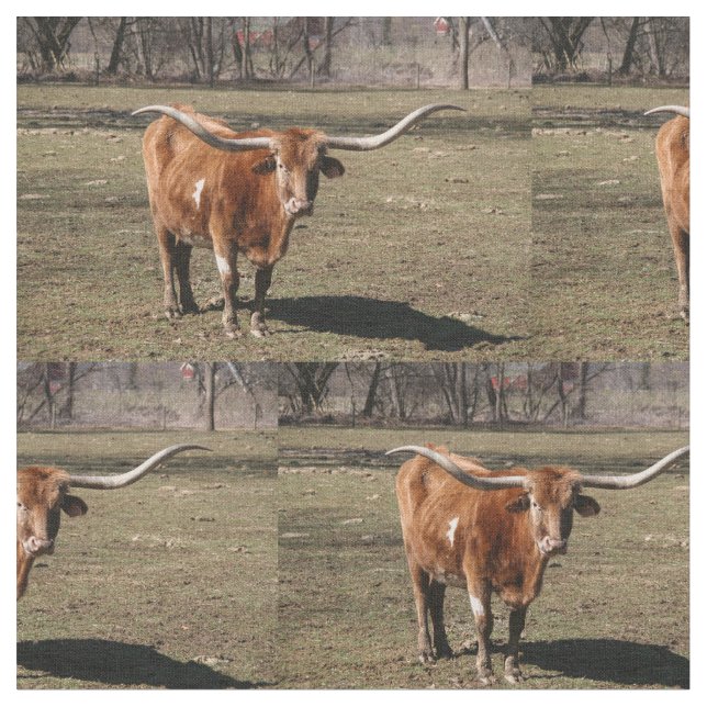 Tissu Texas Long Horns ! (Fermer)