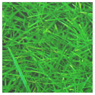 Tissu Texture d'herbe