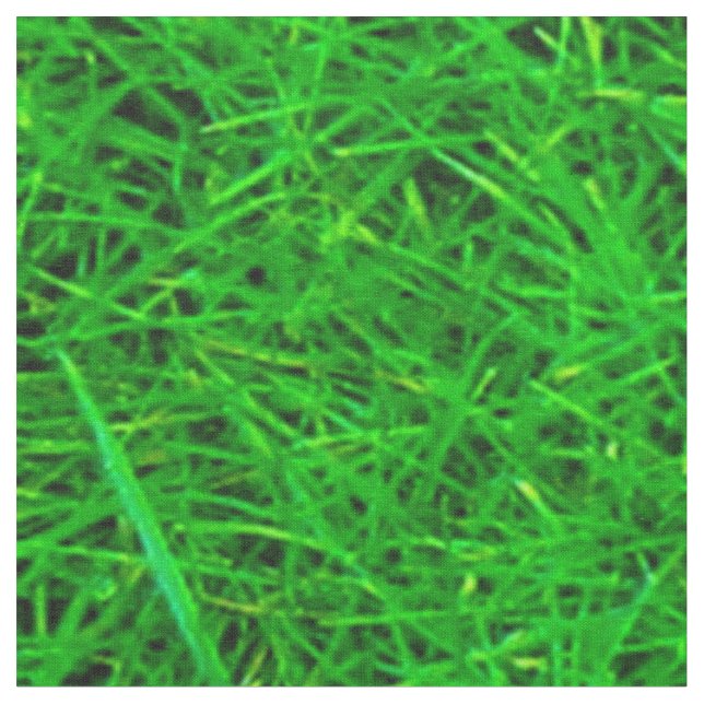 Tissu Texture d'herbe (Fermer)