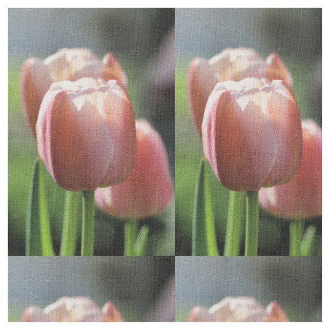 Tissu Tulipe rose (Fermer)