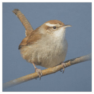 Tissu Un curieux Wren de Bewick's Wren dans l'arbre