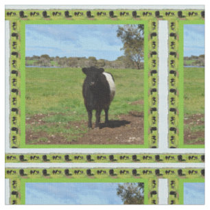 Tissu Vache de galloway ceinturée,