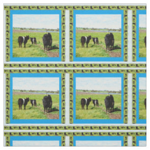 Tissu Vaches Galloway Ceinturées, Mère Et Bébé,