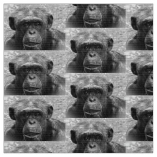 Tissu Visage de chimpanzé, grand caractère, noir et