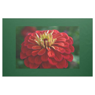 Tissu Zinnia rouge