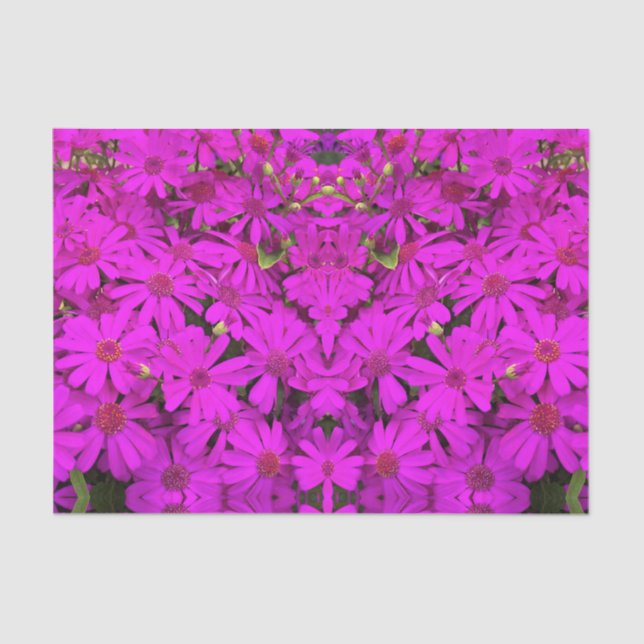 Tissue Paper Bright Pink/Lila Daisis Seidenpapier (Vorderseite)