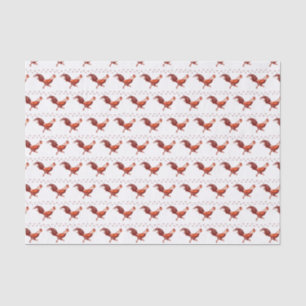 Tissue Paper Seidenpapier