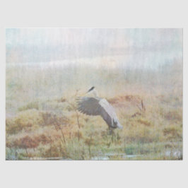 Tissue Paper Seidenpapier