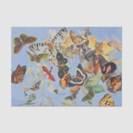 Tissue Paper Seidenpapier