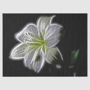 Tissue Paper (Tissue Paper) zur Blume von weißem F Seidenpapier