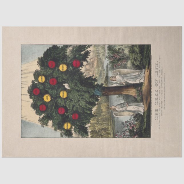 TISSUE PAPIER : DER BAUM DES LEBENS : BAKEWELL : 1 (Vorderseite)