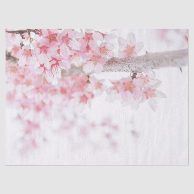 TISSUPAPIER : CHERRY BLOSSOM SEIDENPAPIER (Vorderseite)