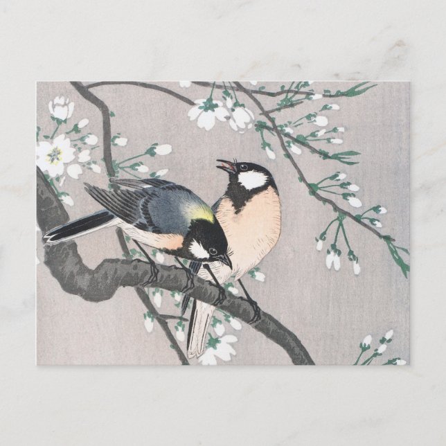 Tit auf Cherry Branch Vintag Postkarte (Vorderseite)