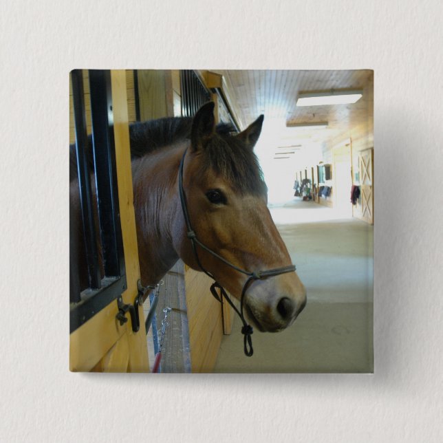 Titan-Knopf Button (Vorderseite)