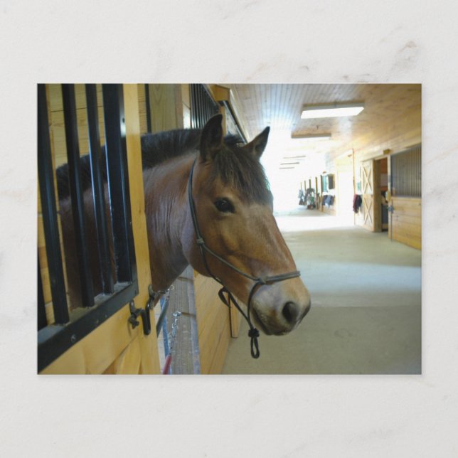 Titan Postcard Postkarte (Vorderseite)