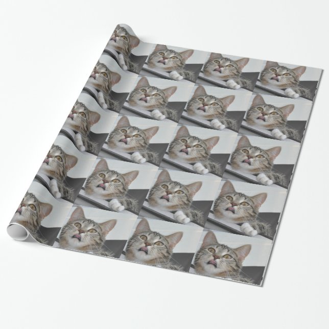 Titel des Katzen-Umschlagpapiers Geschenkpapier (Ungerollt)