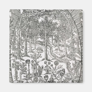 Titelblatt 'von der Paradisi Sohle; Paradisus Magnet