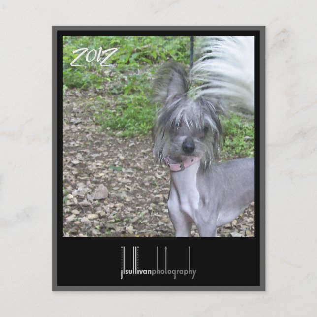 Titelseite 2012 (Vorderseite)