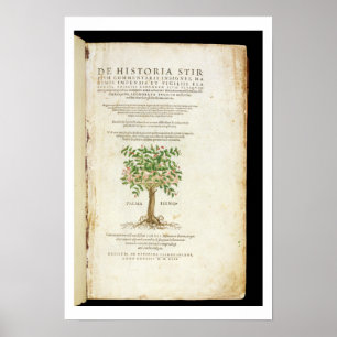 Titelseite von "De Historia Stirpium Commentarii Poster