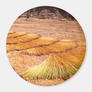 Titicaca Uros Reed Island Magnet