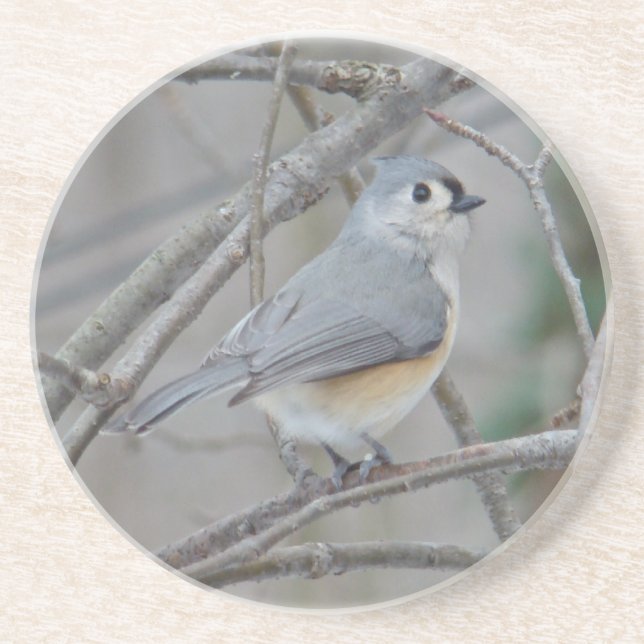 Titmaus (Baeolophus bicolor)-Elemente Getränkeuntersetzer (Vorne)