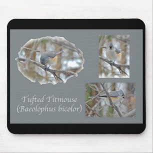 Titmaus (Baeolophus bicolor)-Elemente Mousepad