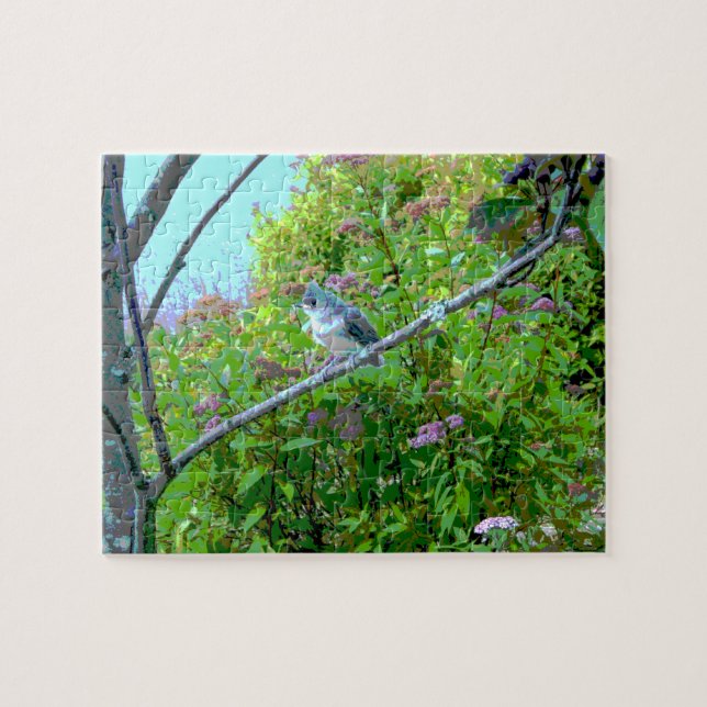 Titmaus Fledgling Baby Bird (Horizontal)