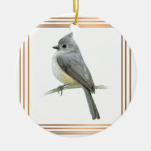 Titmaus Songbird in Goldrahmen