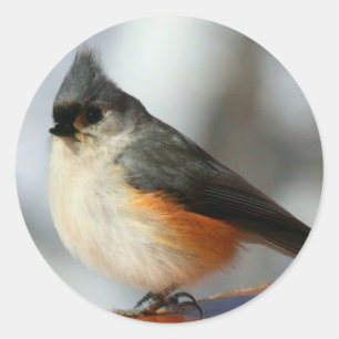 Titmauskleber Runder Aufkleber