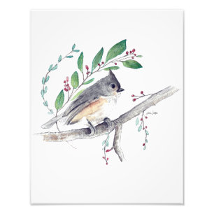 Titmouse Bird Art Foto Print
