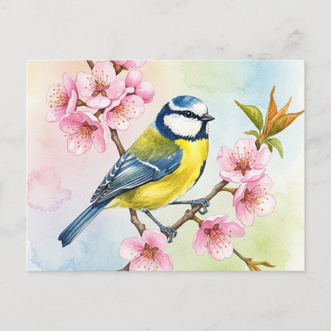 Titmouse, Sakura, Frühlingspostkarte Postkarte (Vorderseite)