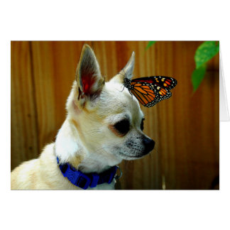 Tito et la carte de monarque