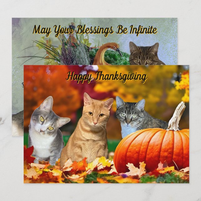 Tito, Taz, and Annie's 2025 Thanksgiving Flat Card (Vorne/Hinten)