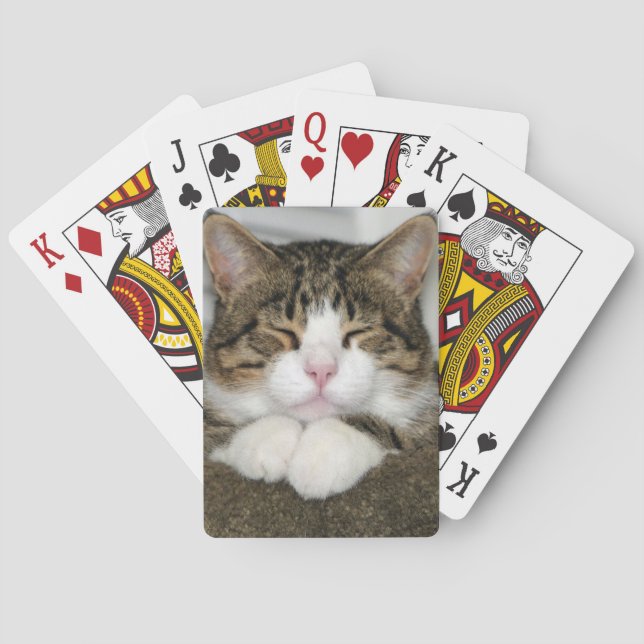 TJ SPIELKARTEN (Rückseite)