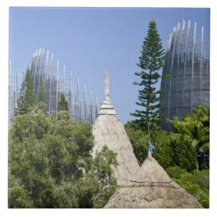 Tjibaou Kulturzentrum, Noumea, Neukaledonien 2 Fliese