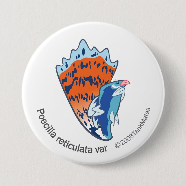 TM-16-Poecilia reticulata var Button (Vorderseite)
