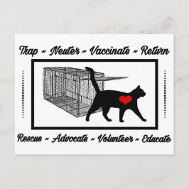 TNR Cat Rescue Trap Neuter Return Adoptier Volunte Postkarte